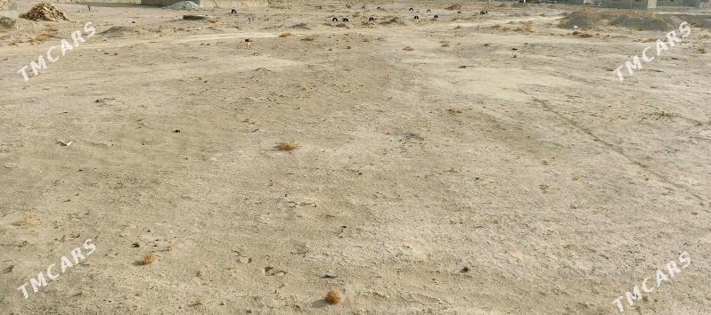 satlyk yer - Джебел - img 4