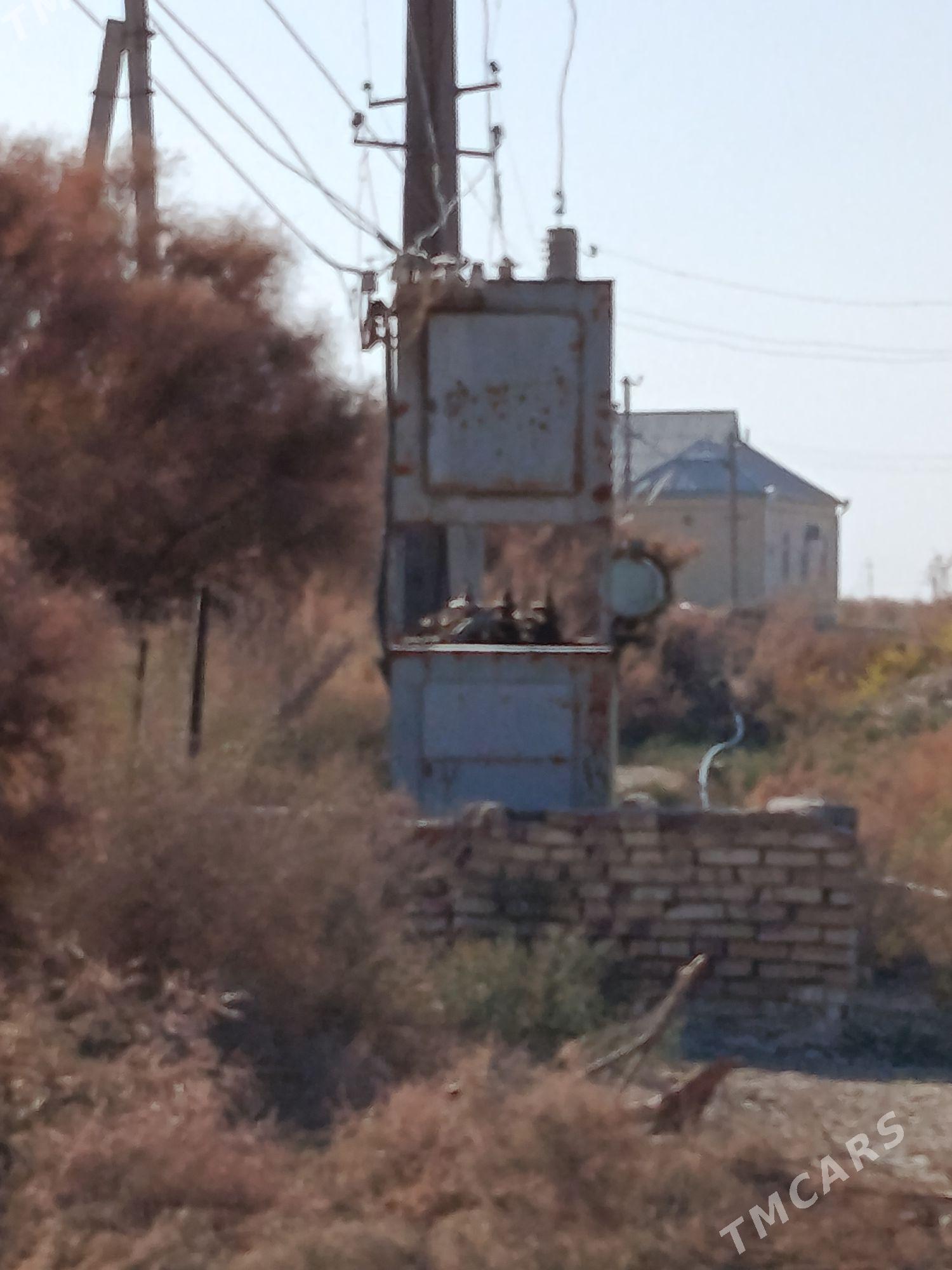 mellek yer - Mary - img 2