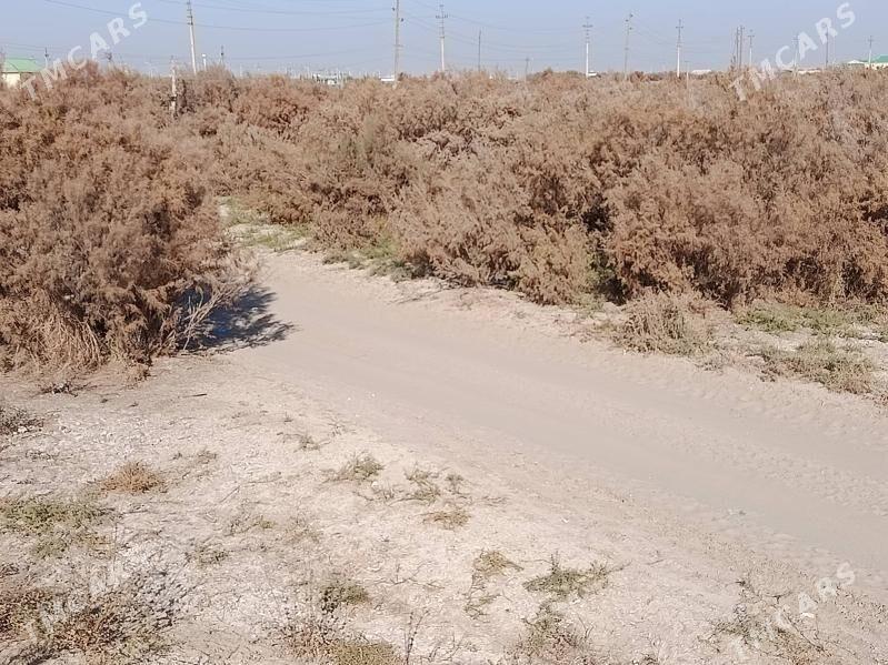 mellek yer - Mary - img 3