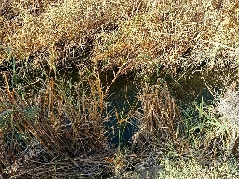 mellek yer - Mary - img 4