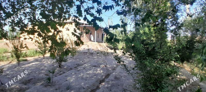 Satlyk jaý - Рухубелентский этрап - img 2