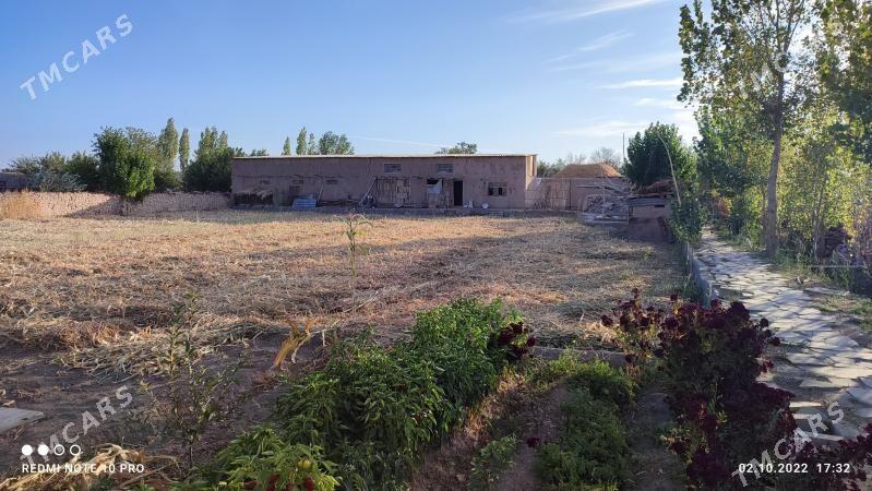 Boldumsaz etp Garaşsyzlyk geň. - Болдумсаз - img 8