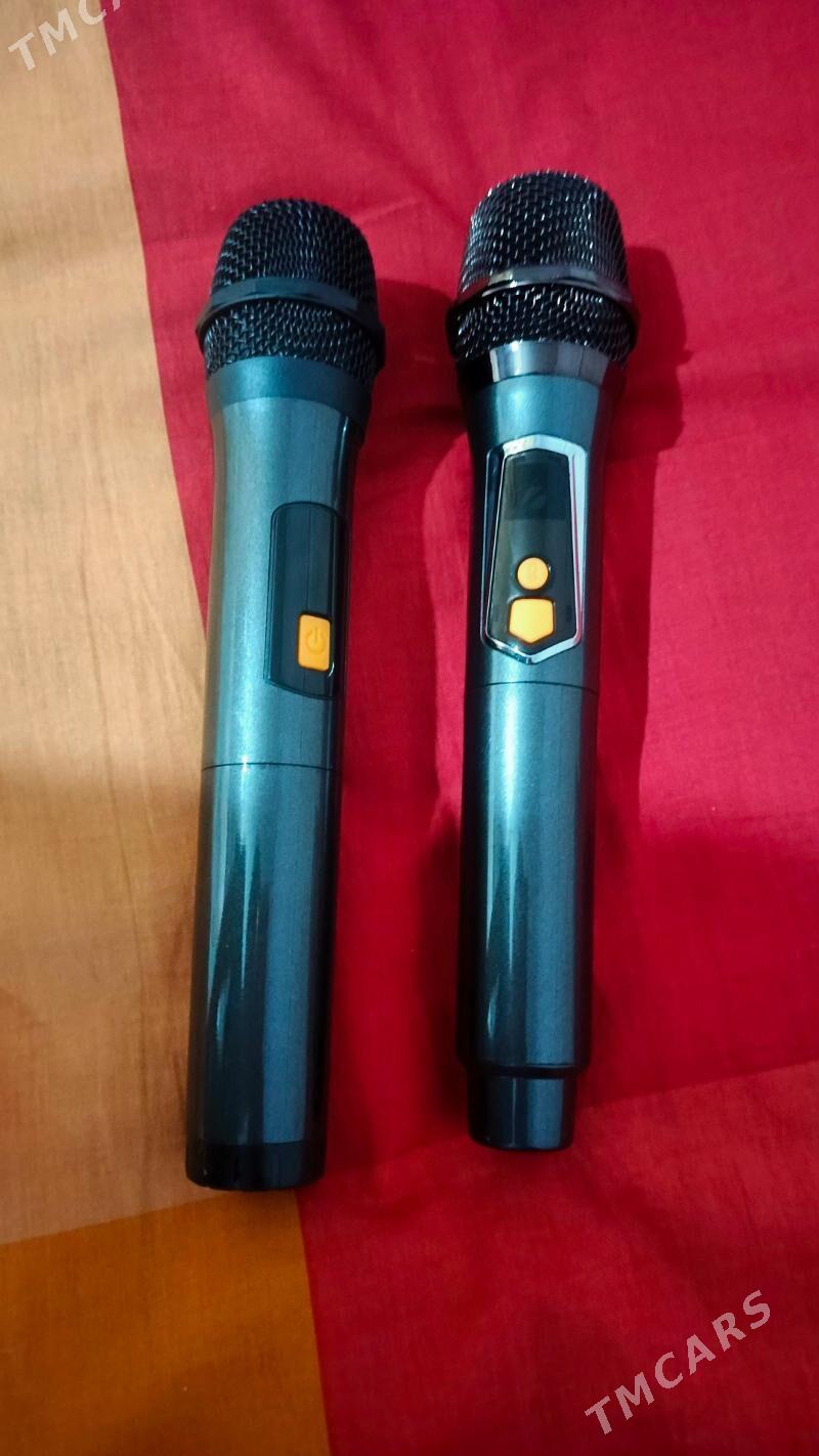 Mikrofon Brodu - Mary - img 1