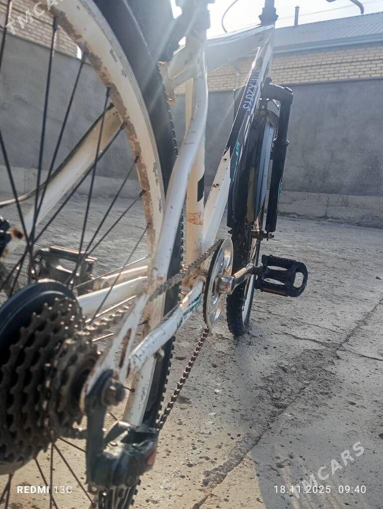 welsoped - Mary - img 3