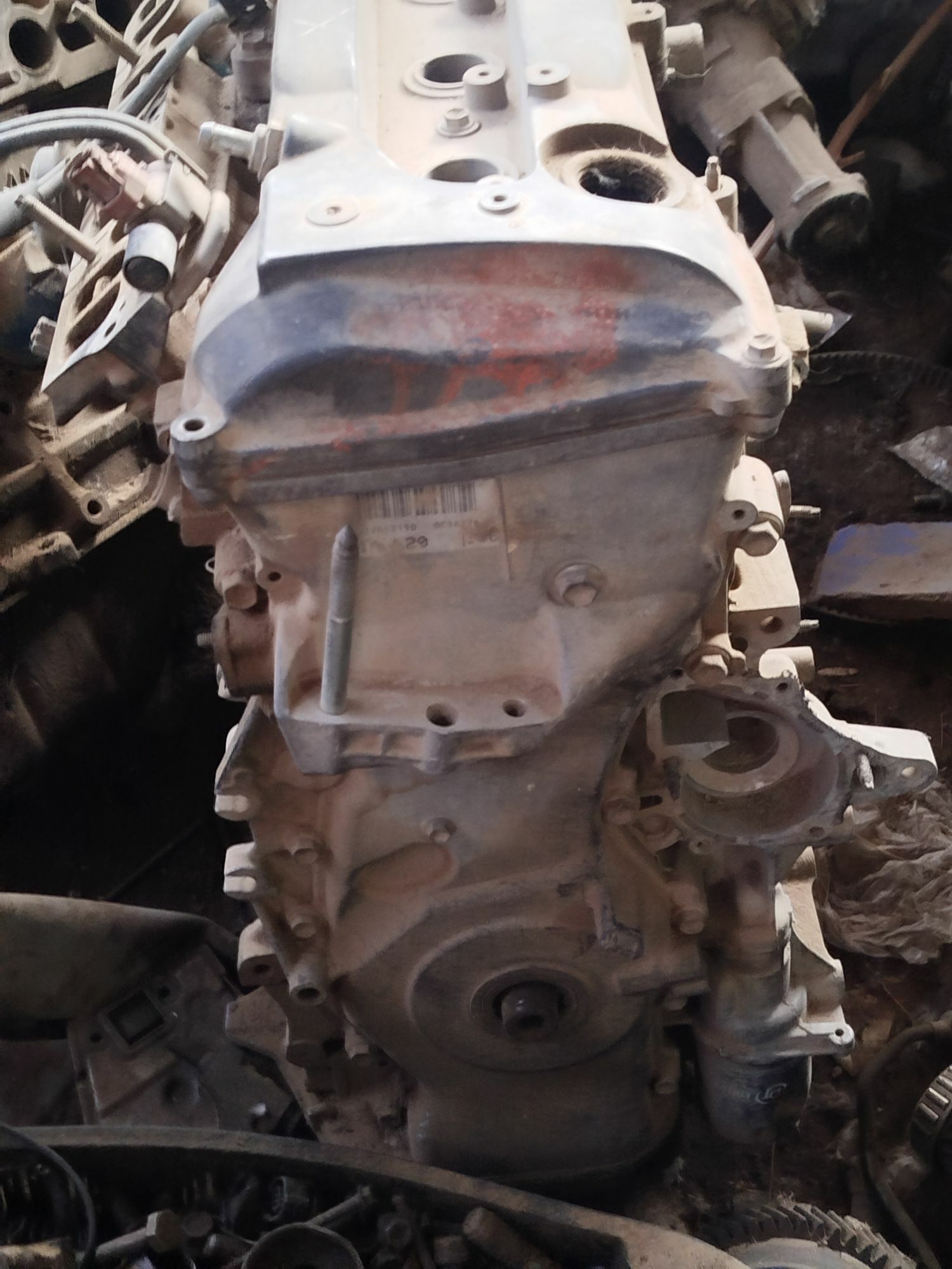 Mator 200 TMT - Çoganly - img 4