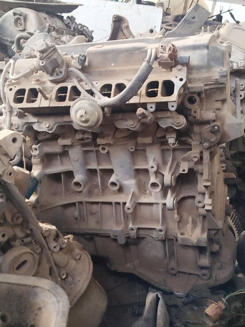 Mator 200 TMT - Çoganly - img 3