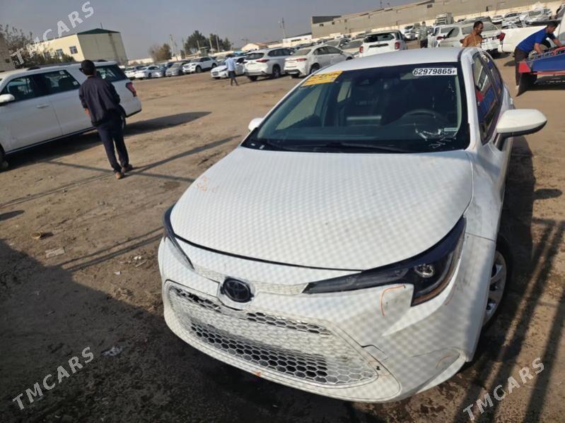 Toyota Corolla 2022 - 237 600 TMT - Мары - img 1