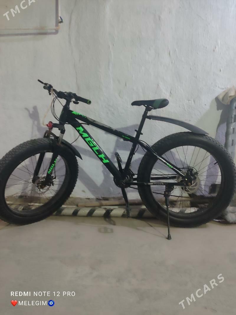 welsoped - Hazar - img 2