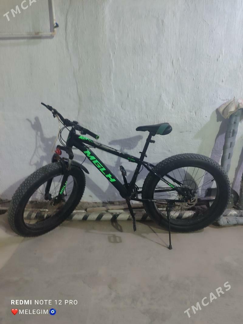 welsoped - Hazar - img 1