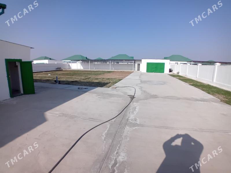 kor cay dowletli mekan - Анев - img 6