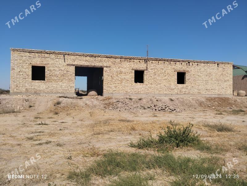 Satlyk jay - Акдепе - img 7