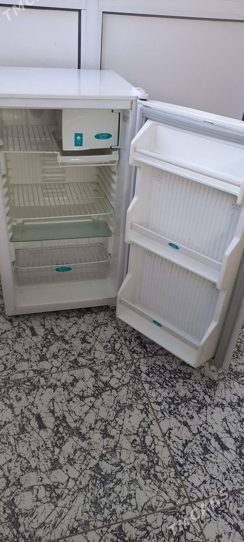 holodilnik - Mary - img 1