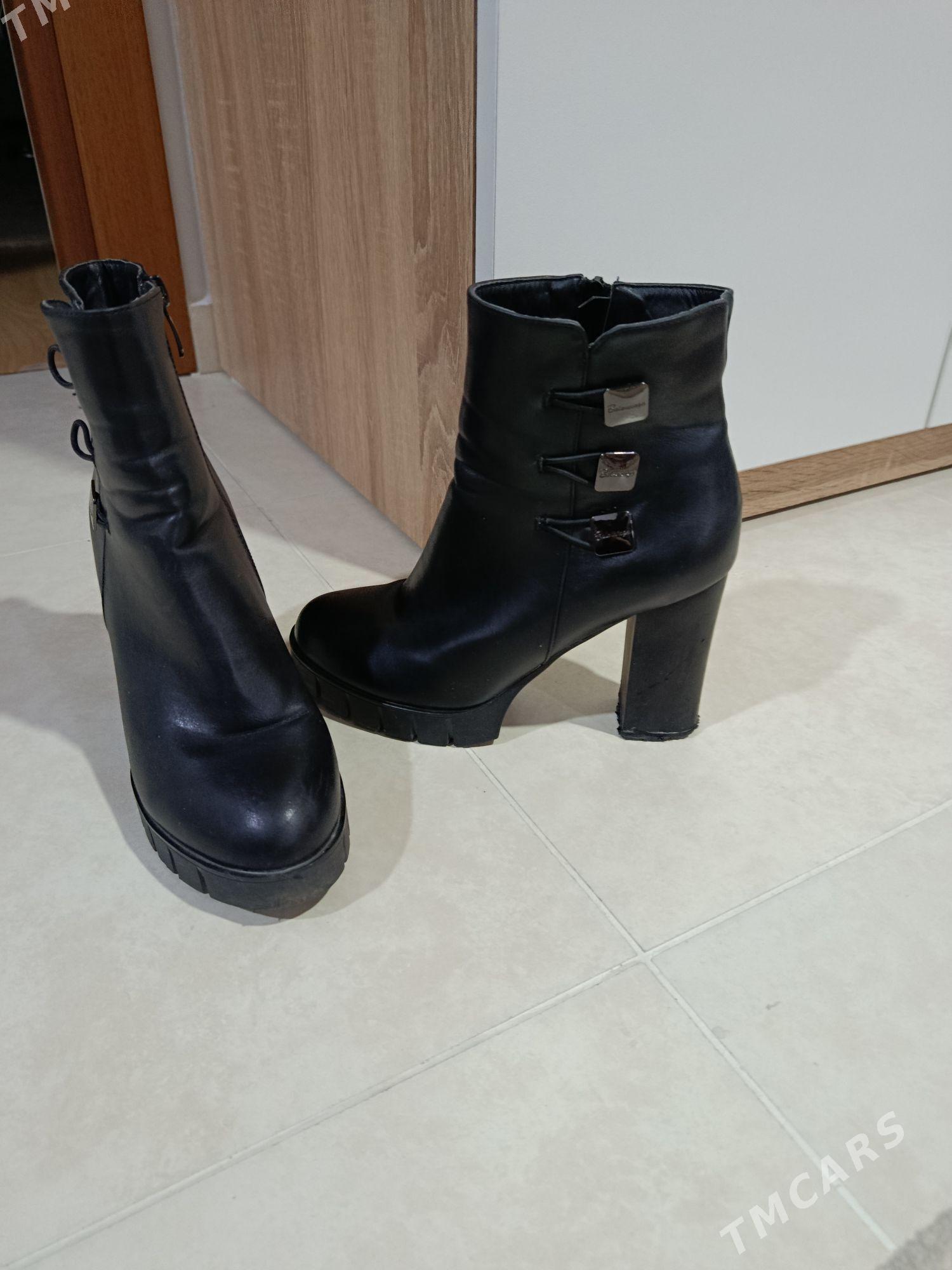 adik śypbyk - Гуртли - img 2