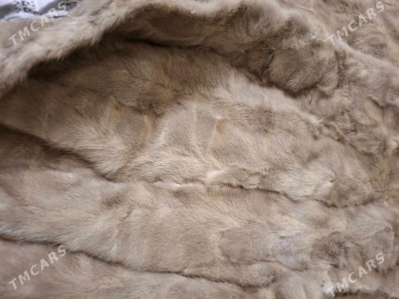 Şuba - 11 mkr - img 4