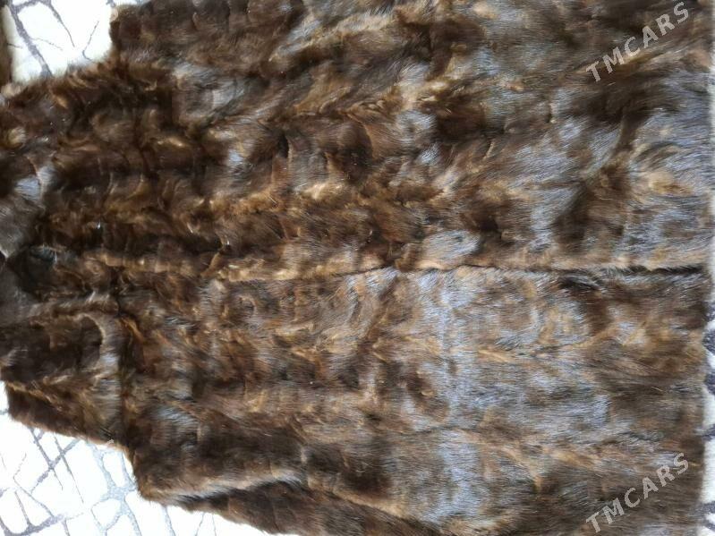 Şuba - 11 mkr - img 1