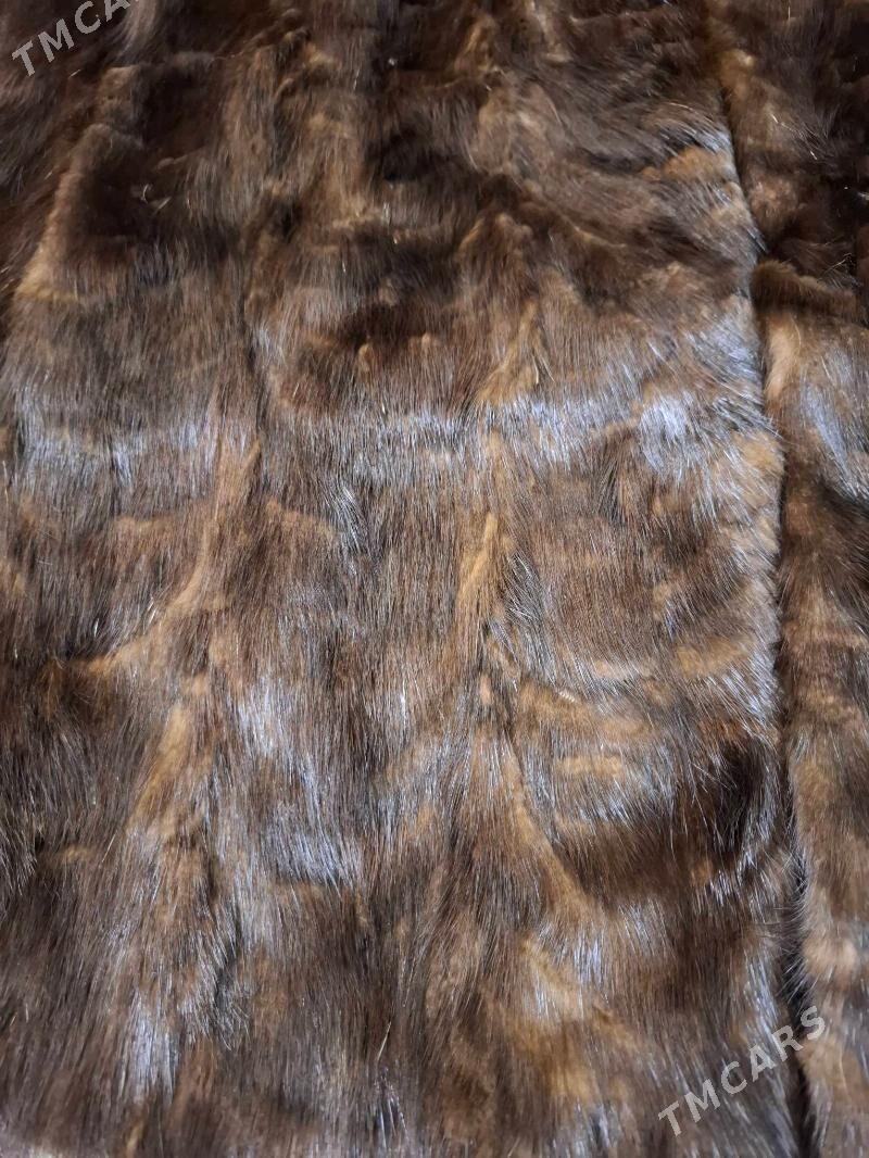 Şuba - 11 mkr - img 3