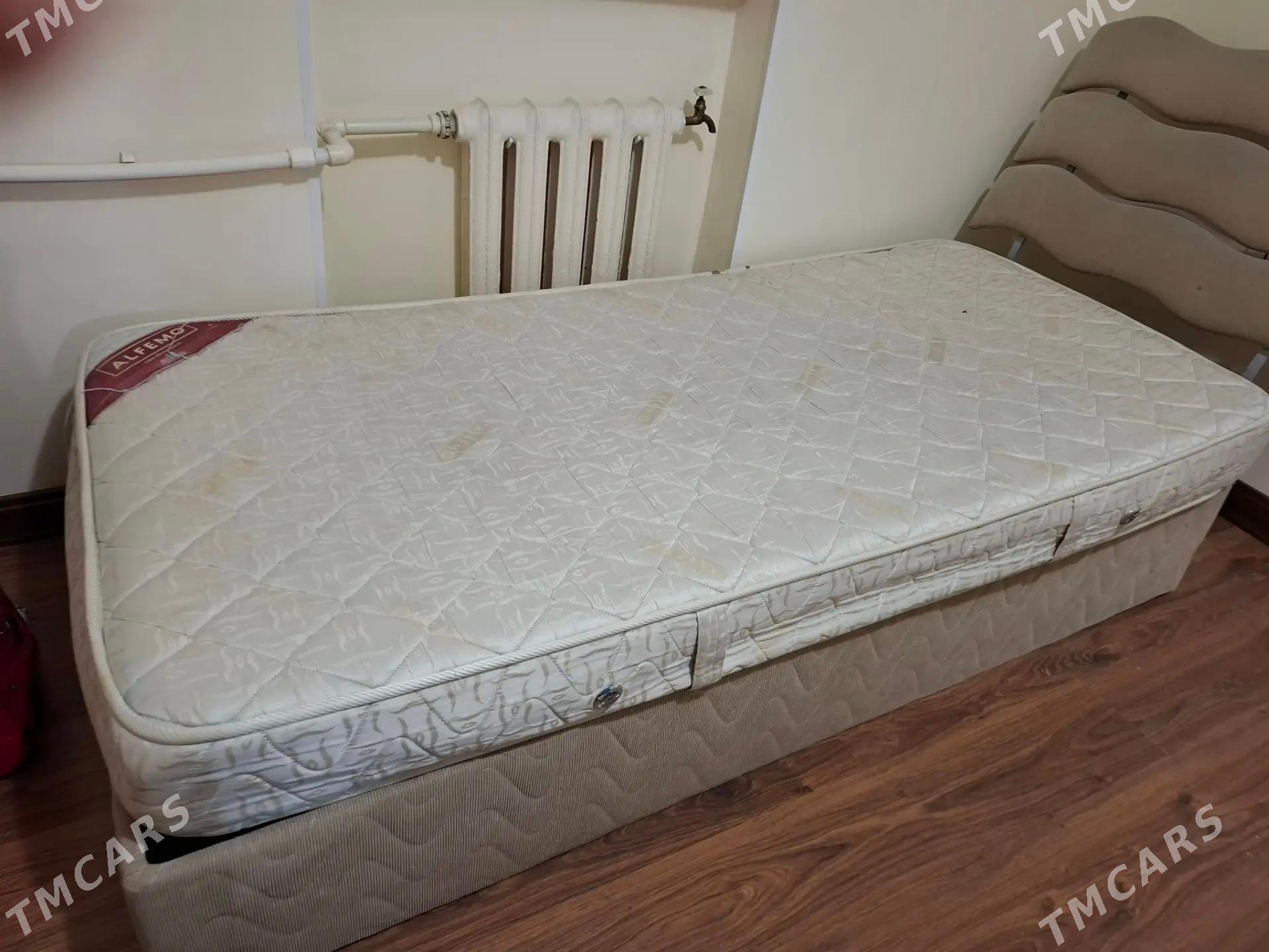 Spanly  istikbal - Aşgabat - img 2