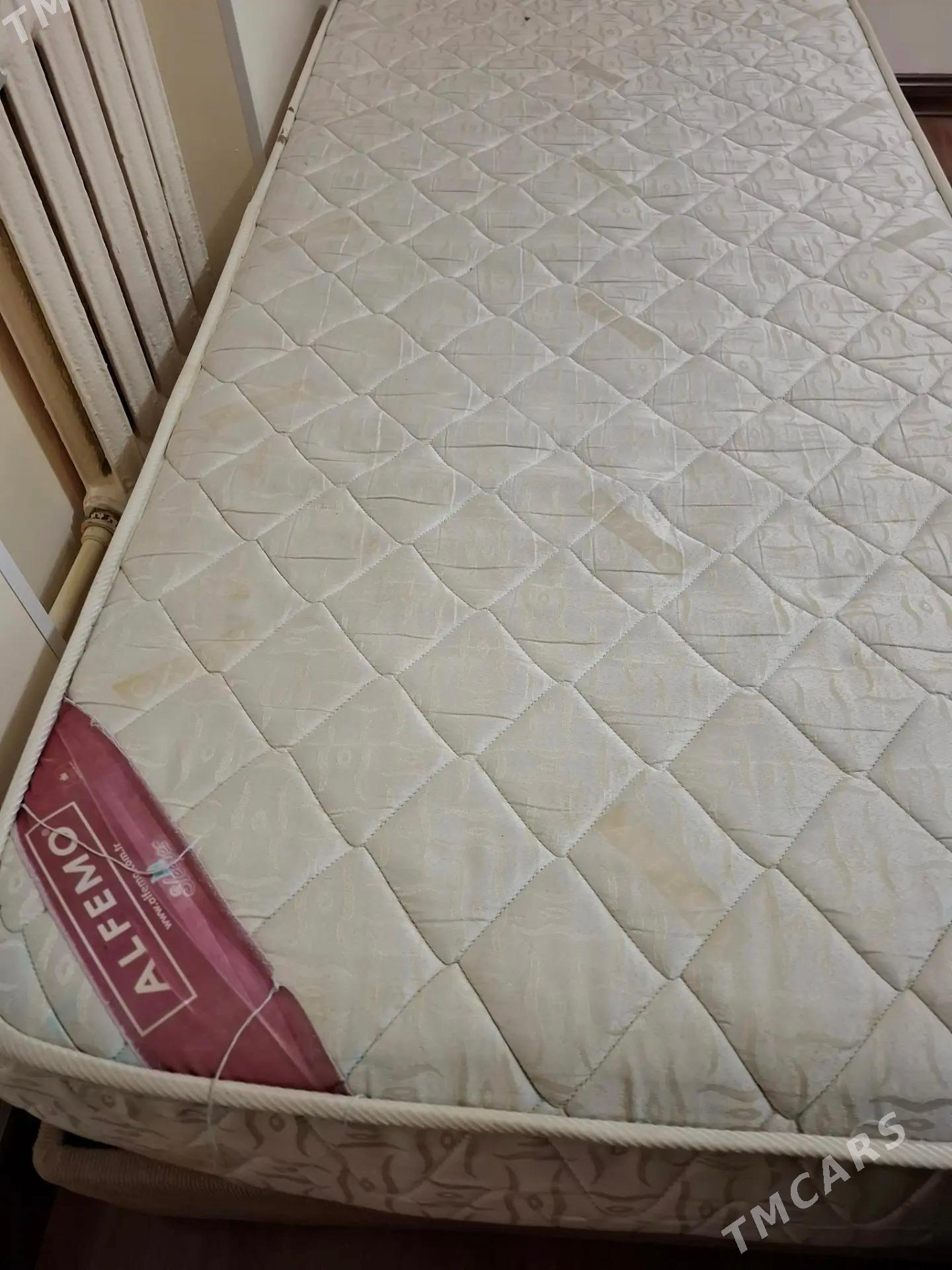 Spanly  istikbal - Aşgabat - img 5