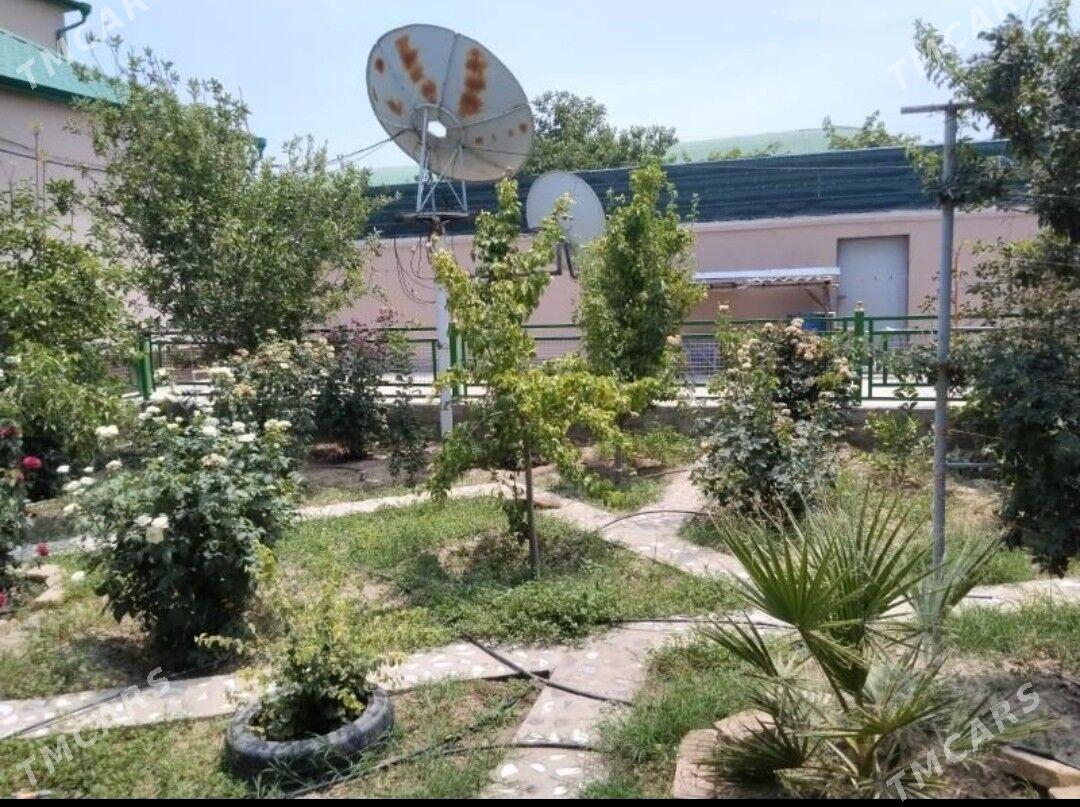 ANEWAnew Kottedj Magtymguly - Ашхабад - img 6