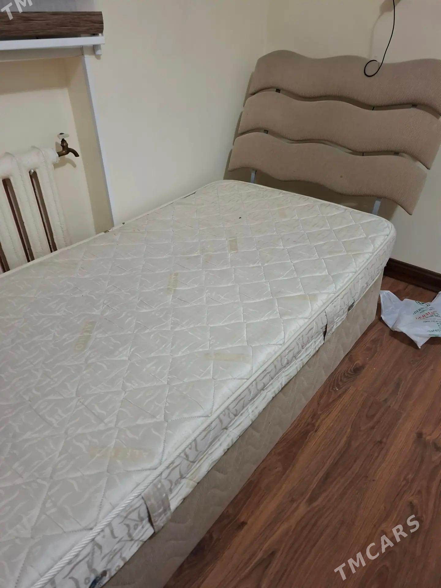 Spanly  istikbal - Aşgabat - img 3