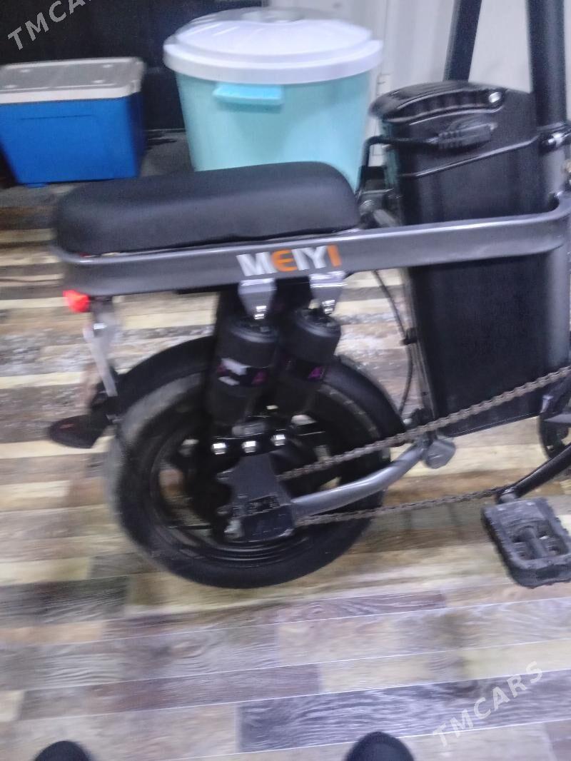 tigir - Tejen - img 3