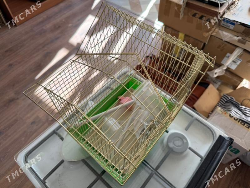 клетка kletka - 8 mkr - img 2