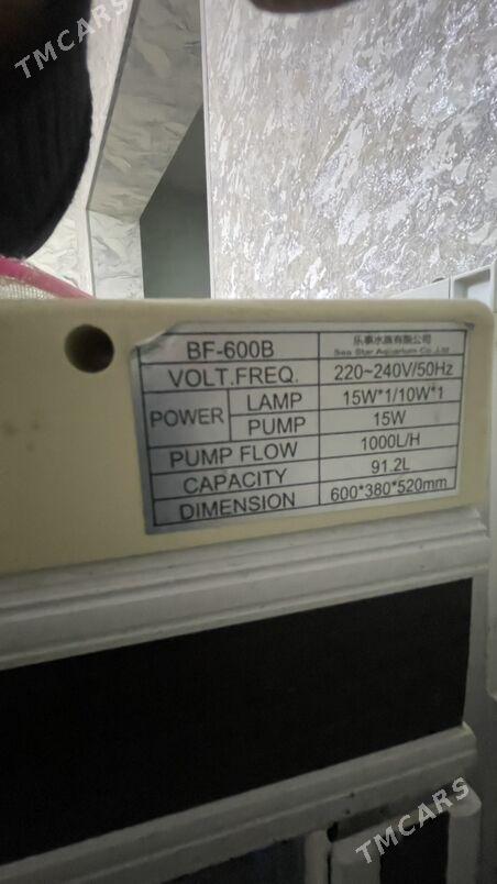 Akwarýum - Türkmenabat - img 2