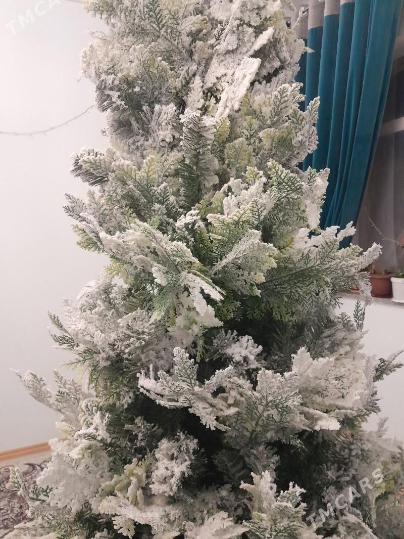 yolka - Туркменбаши - img 2