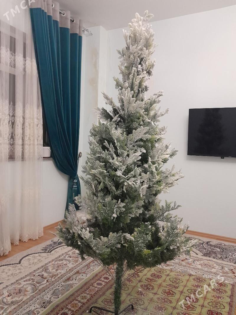 yolka - Туркменбаши - img 1