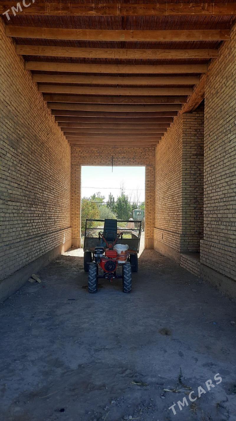 Danew - Дянев - img 2