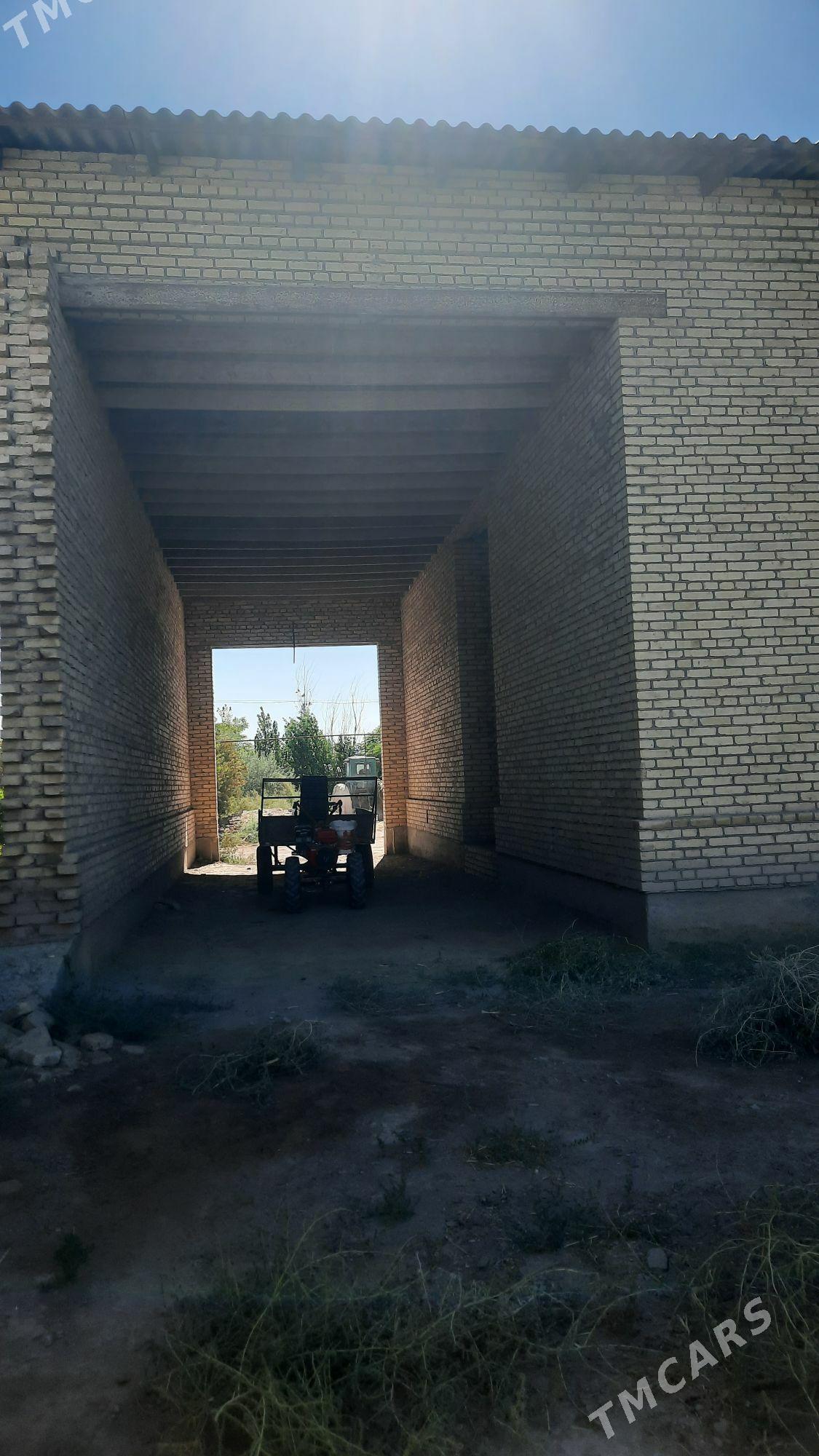 Danew - Дянев - img 5