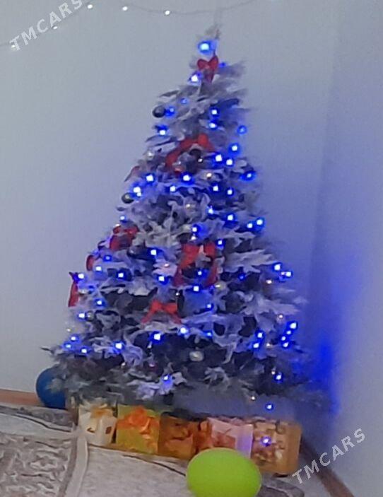 yolka - Туркменбаши - img 3