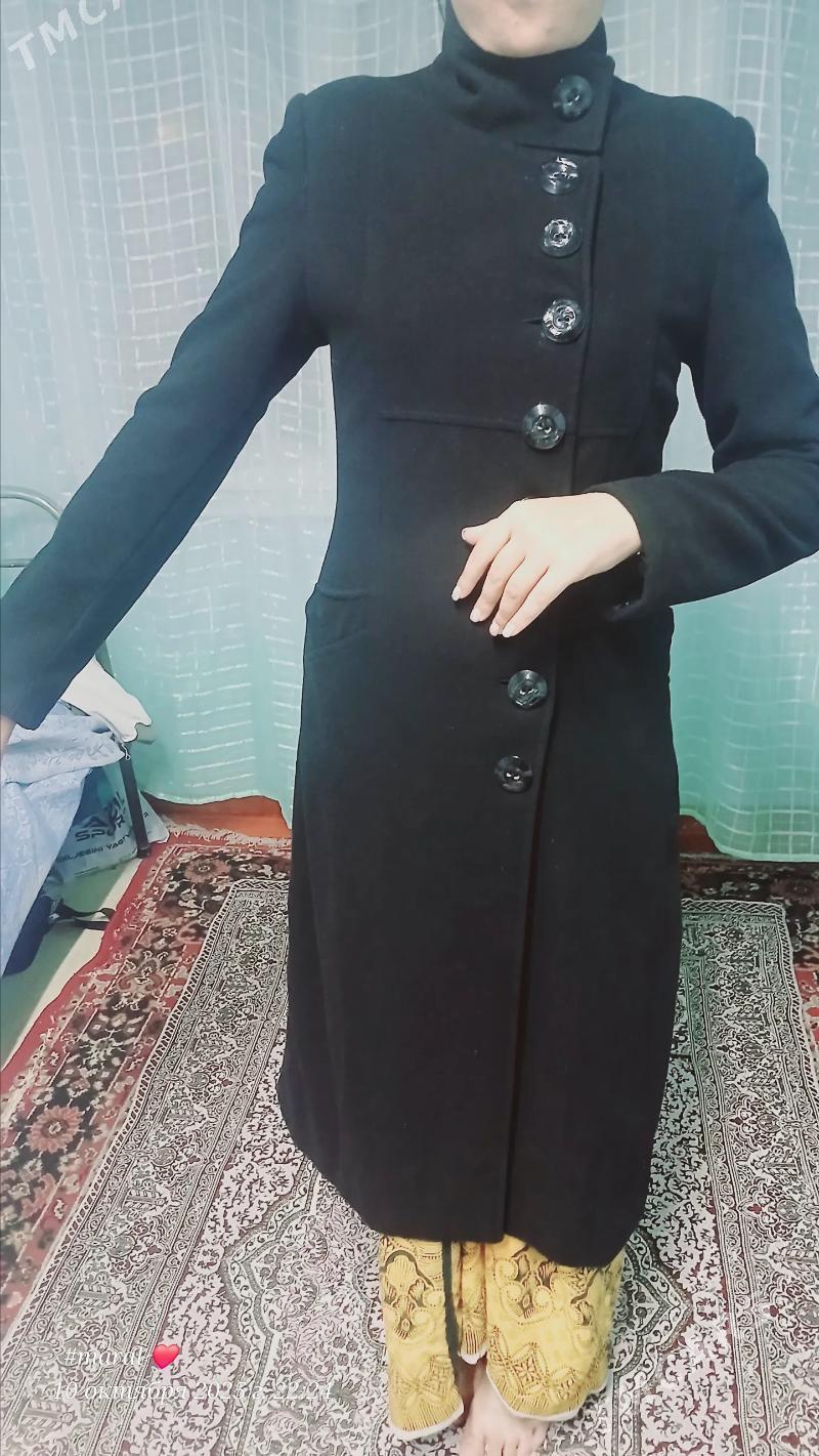 palto talyplaryňky - Daşoguz - img 5