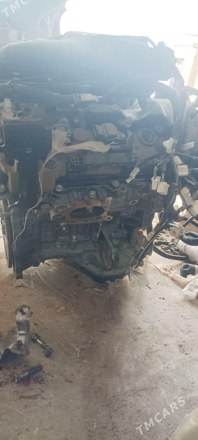 Yumurtga mator taze model20/24 14 000 TMT - Mary - img 2