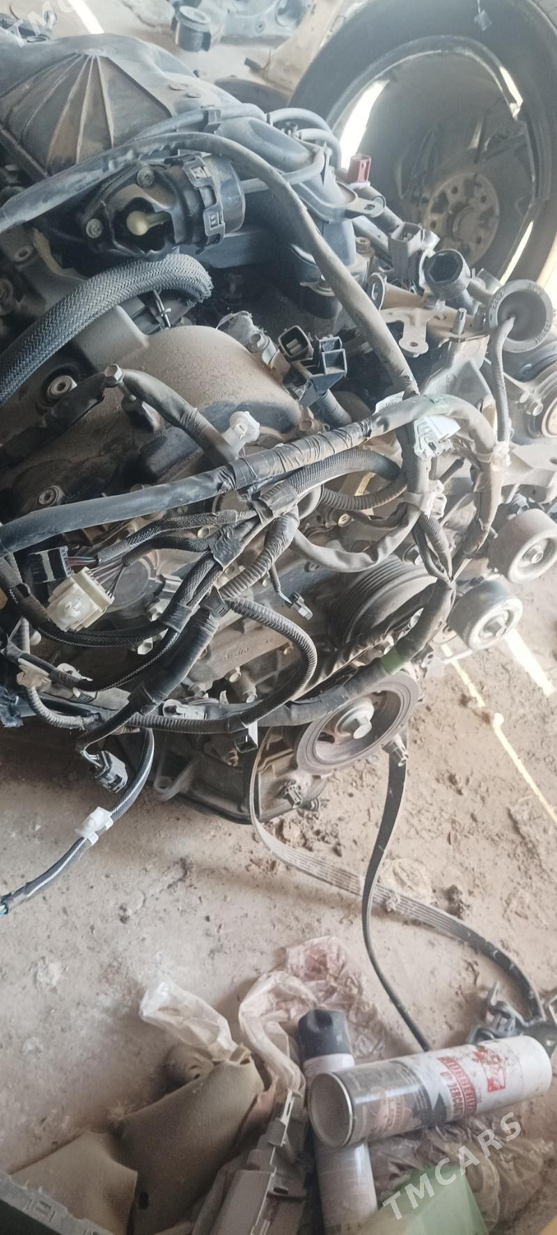 Yumurtga mator taze model20/24 14 000 TMT - Mary - img 4