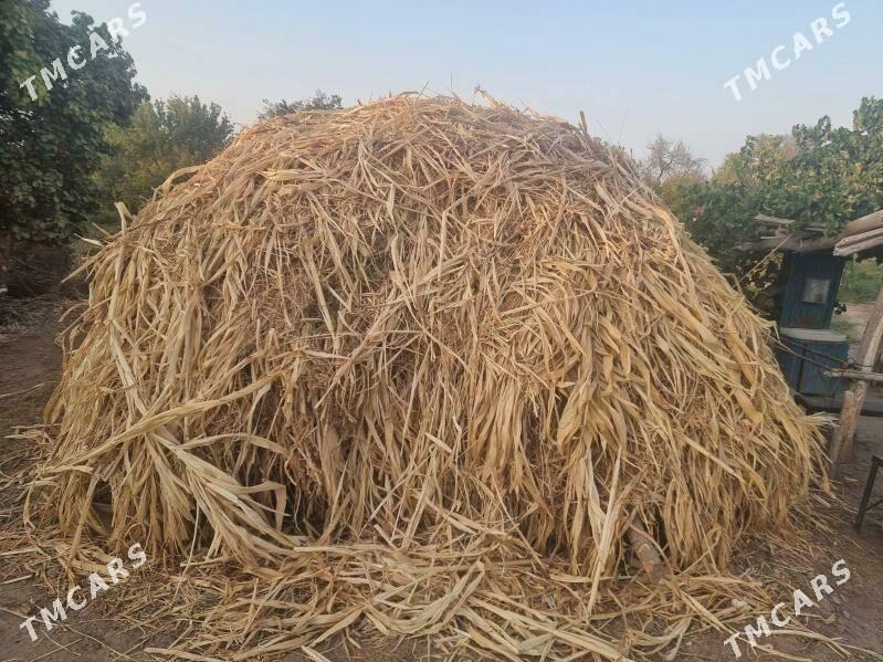 bede mekge - Дянев - img 4