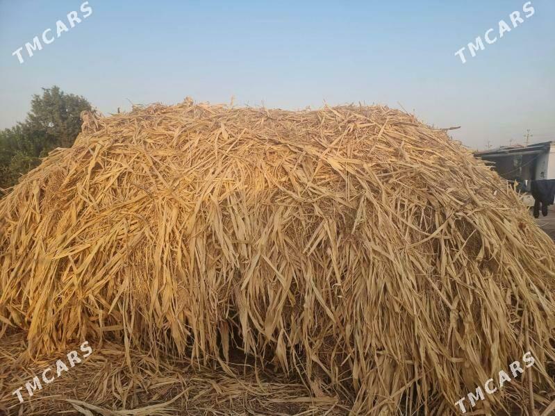 bede mekge - Дянев - img 2