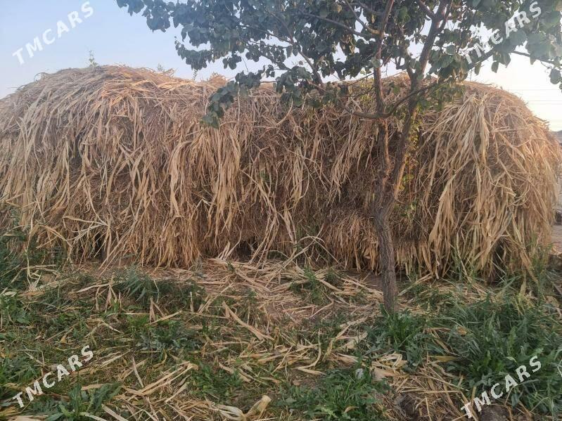 bede mekge - Дянев - img 5