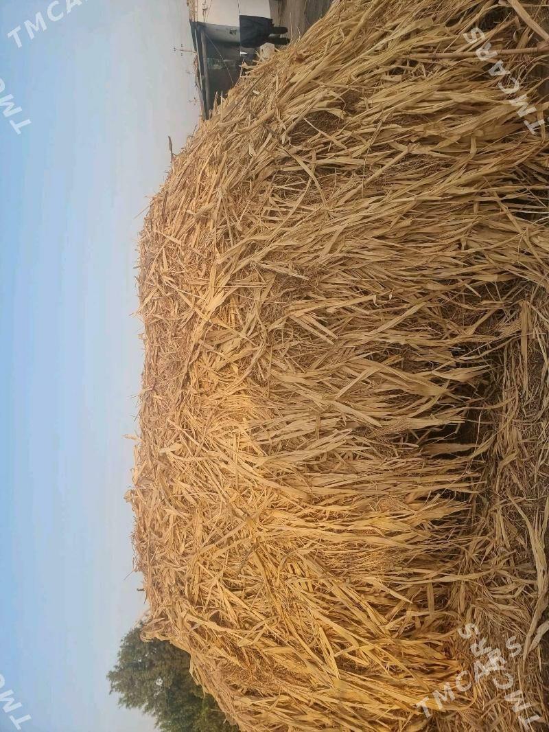 bede mekge - Дянев - img 3