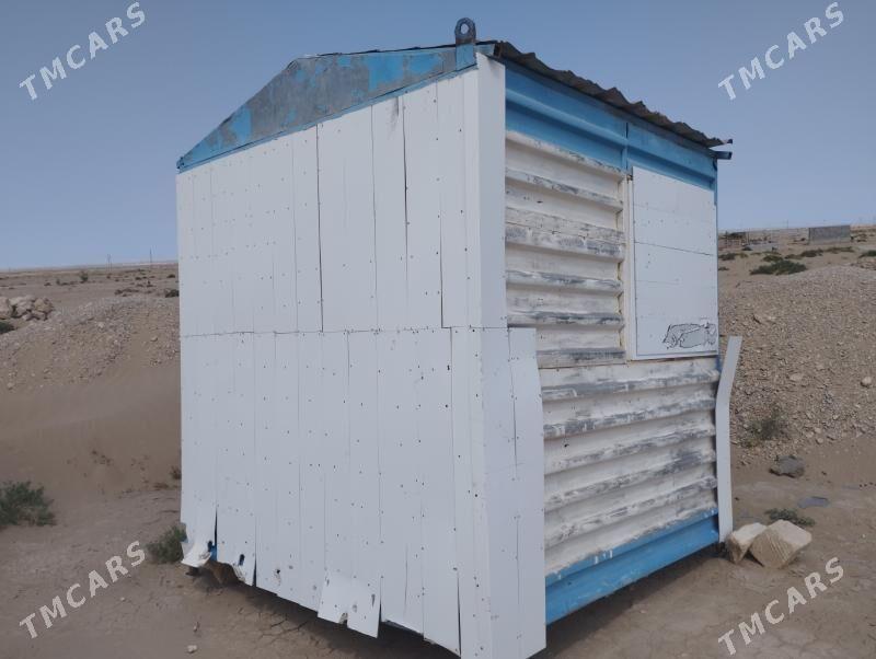 Satlyk jay - Jebel - img 2