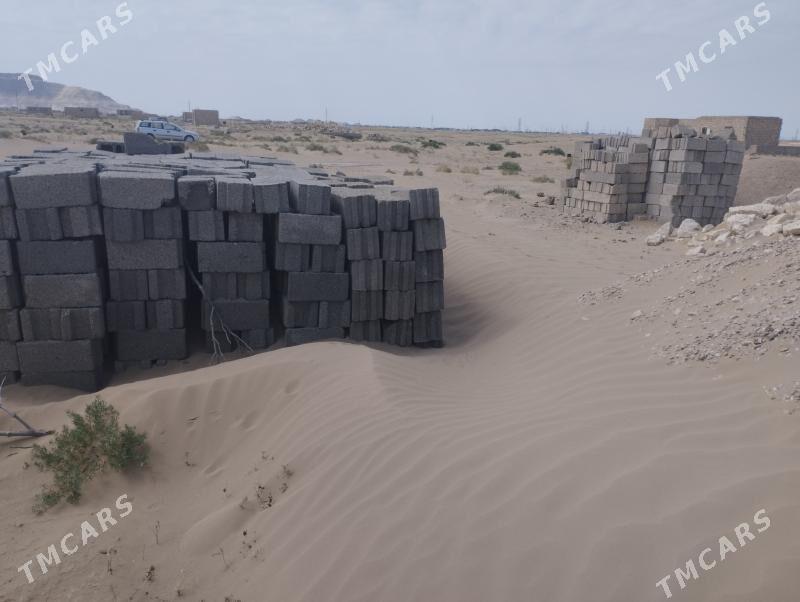 Satlyk jay - Jebel - img 3