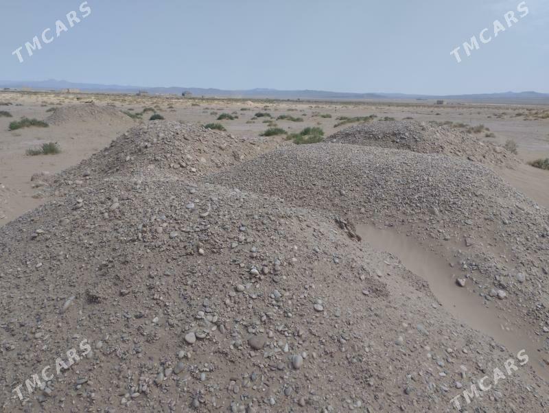 Satlyk jay - Jebel - img 4