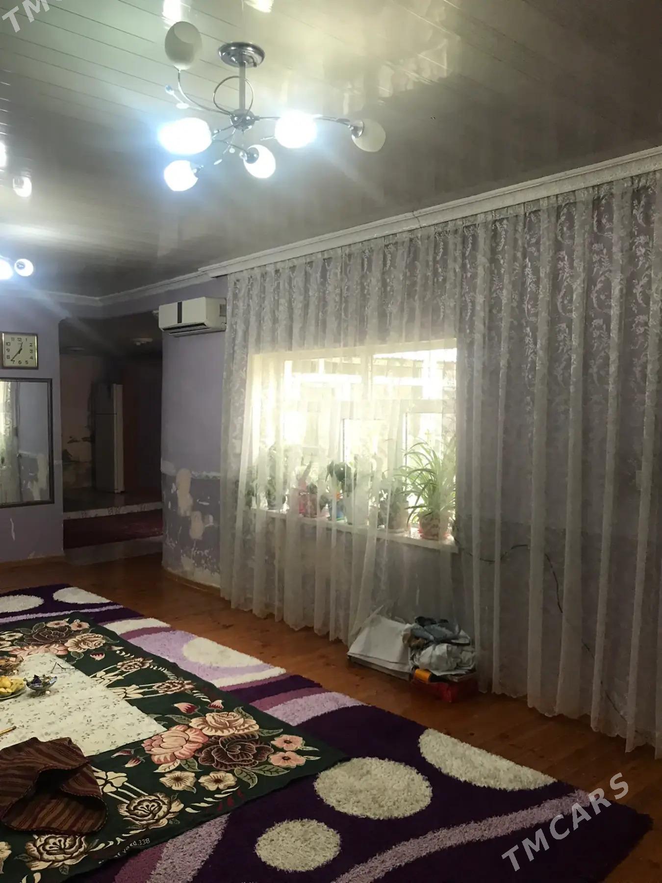 Tolstoy koçe - Мары - img 3