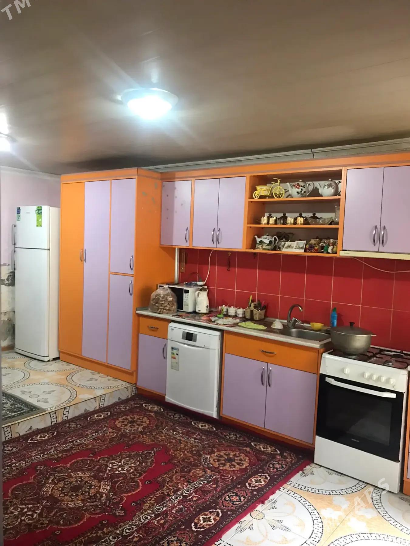 Tolstoy koçe - Мары - img 4