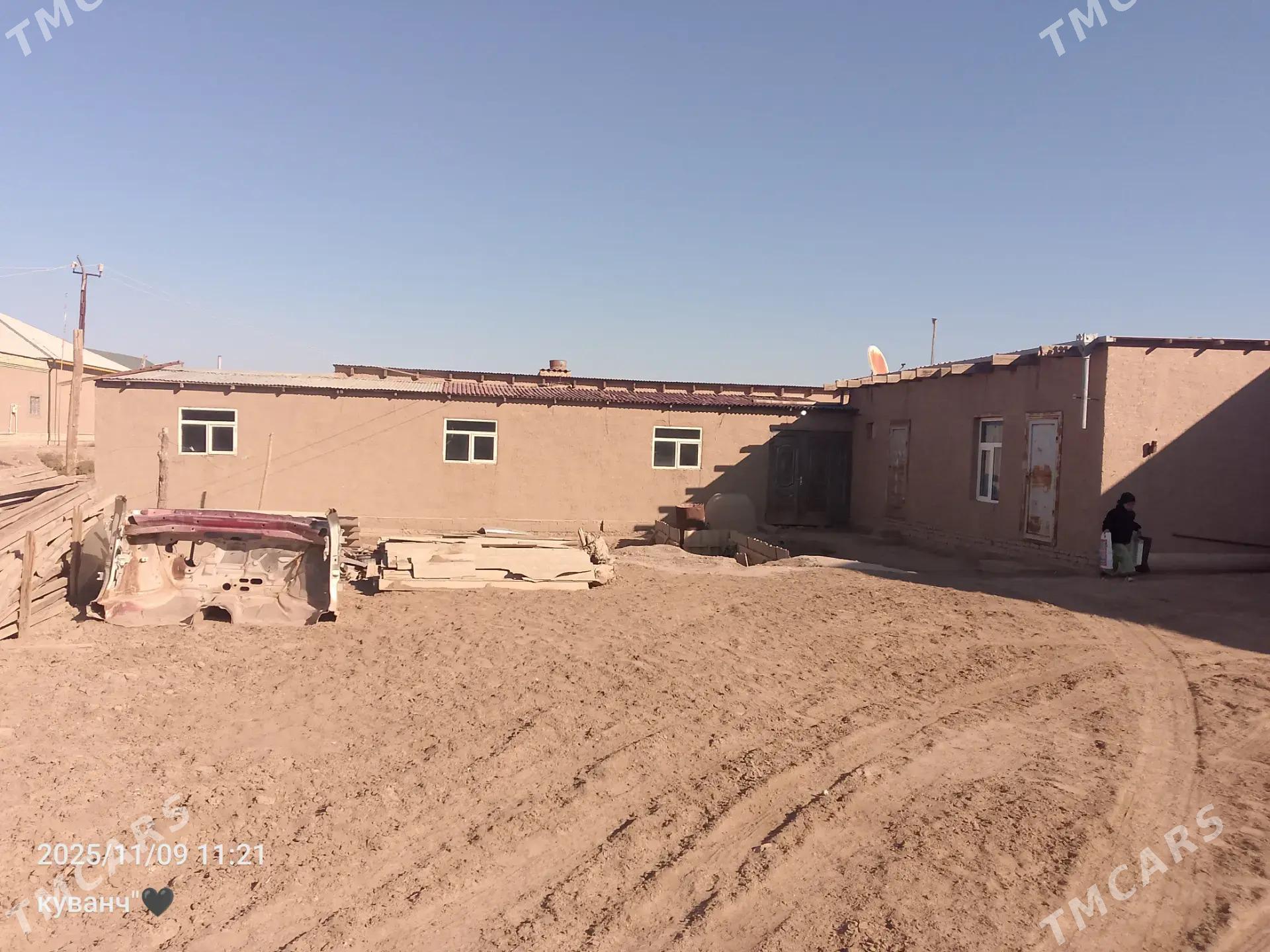 satlyk jay - Gurbansoltan Eje - img 9