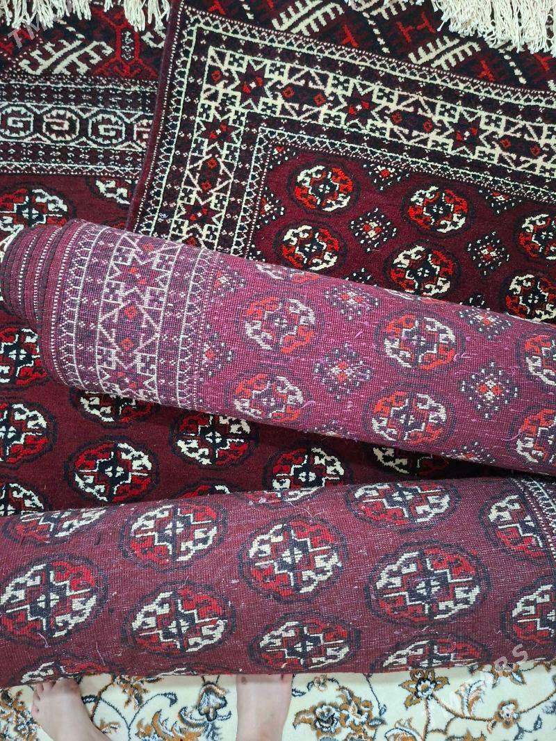 turkmen haly - Balkanabat - img 3