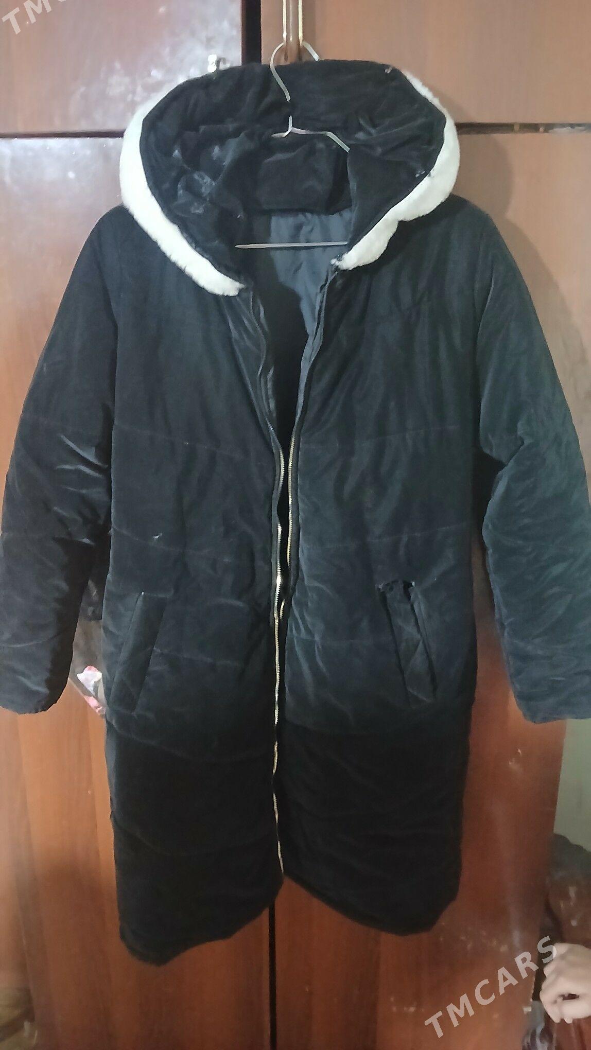 Ангорка женпир - Дашогуз - img 4