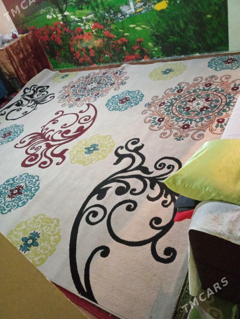 haly - 10 mkr - img 2