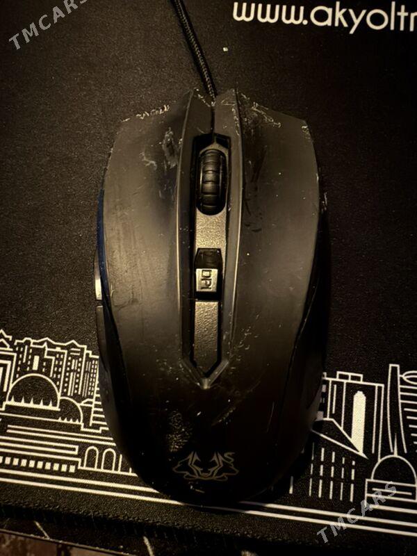 Myshka Мышка Asus Cerberus - Ашхабад - img 4