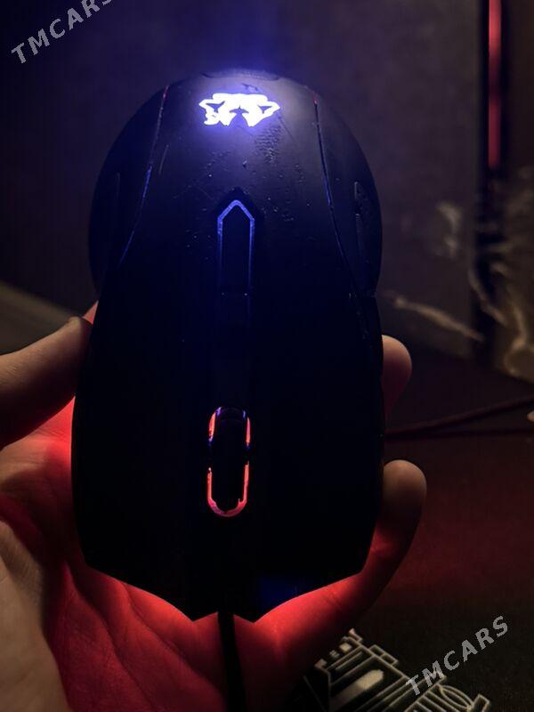 Myshka Мышка Asus Cerberus - Ашхабад - img 2